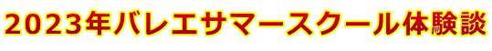 2023年バレエサマースクール体験談