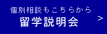 留学説明会・個別相談