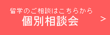 留学説明会・個別相談